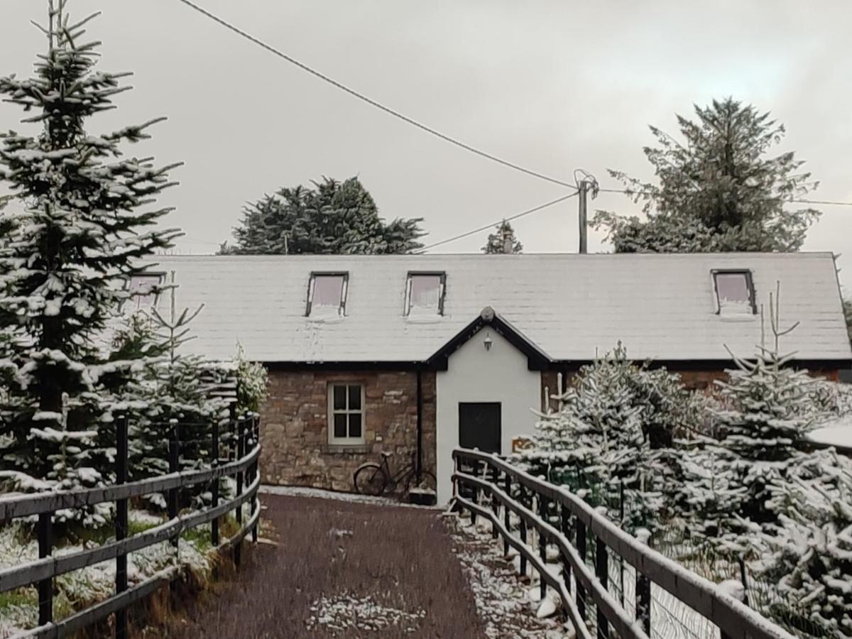 Вилла The Old House At Belfield Трали Экстерьер фото